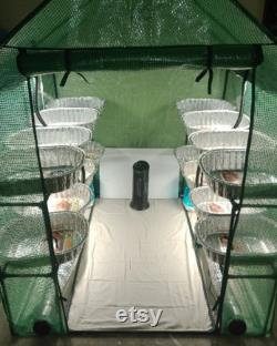 Commercial Production 8 Shelf, 16 Tray FULLY AUTOMATED Mushroom Greenhouse. Pumps out 5-8lbs of dry Mushrooms a Month Read Description
