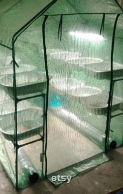 Commercial Production 8 Shelf, 16 Tray FULLY AUTOMATED Mushroom Greenhouse. Pumps out 5-8lbs of dry Mushrooms a Month Read Description