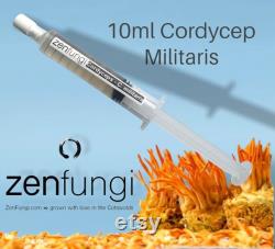 Cordyceps Militaris Mushroom Liquid Culture 10ml Syringe