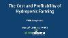 Cost And Profitability Of Hydroponic Farming