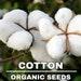 Cotton Organic Seeds, 20 Count, Cotton Plant Seed,home Gardening,high Germination, For Garden And Pot,non-gmo Heirloom, -gossypium Hirsitum