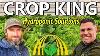 Crop King Takes Me Inside Their Hydroponic Research Greenhouse