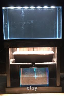 Custom Indoor Aquaponic System