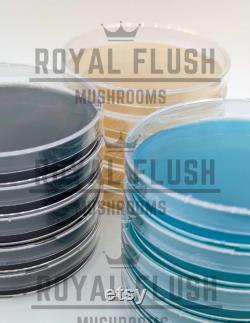 Custom order for Neville 100 agar plates with 40 slants, shipping incl.