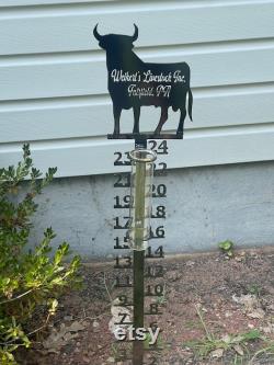 Customized all in one weather meters