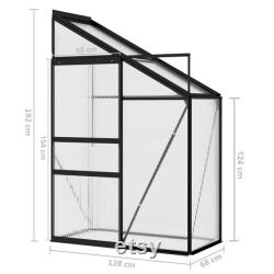 DIY Greenhouse Anthracite Aluminum Mini Greenhouse 48.7 Cubic ft.