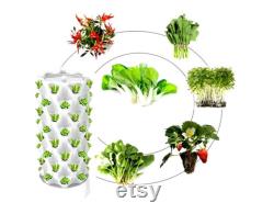 DIY Hydroponic System 48 Holes IndoorOutdoor Growing System Home Gardening