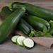 Dark Green Zucchini, Organic Seeds, 30 Count, High Germination, Open Pollinated, Non-gmo Heirloom, (cucurbita Pepo)