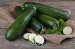 Dark Green Zucchini, Organic Seeds, 30 Count, High Germination, Open Pollinated, Non-GMO Heirloom, (Cucurbita pepo)