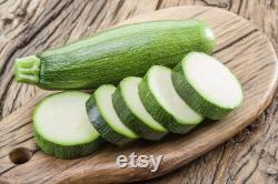 Dark Green Zucchini, Organic Seeds, 30 Count, High Germination, Open Pollinated, Non-GMO Heirloom, (Cucurbita pepo)