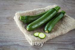 Dark Green Zucchini, Organic Seeds, 30 Count, High Germination, Open Pollinated, Non-GMO Heirloom, (Cucurbita pepo)