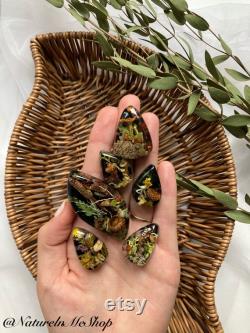 Dried small mushrooms Natural mini garden tiny little fungus Birch bark moss pixie cup for Resin jewelry Rustic decor Crafts fairy