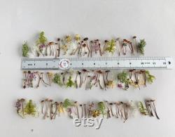 Dried small mushrooms Set of 30 pcs tiny little fungus Birch bark moss pixie cup for Resin jewelry Rustic decor Crafts fairy mini garden