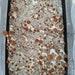 Dry Bulk Cvg Substrate (coco Coir, Vermiculite , Gypsum)