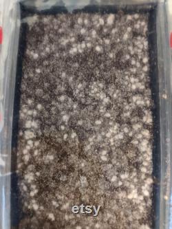 Dry Bulk CVG Substrate (Coco Coir, Vermiculite , Gypsum)