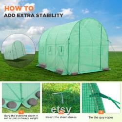 EAGLE PEAK 10'x7'x7' Tunnel Greenhouse Large Garden Plant Hot House with Roll-up Zippered Entry Door and 6 Roll-up Side Windows, Green
