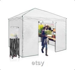 EAGLE PEAK 10'x 10' Portable Walk-in Pop-up Greenhouse with Front and Rear Roll-Up Zipper Entry Doors and 2 Large Roll-Up Side Windows