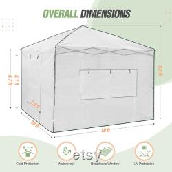 EAGLE PEAK 10'x 10' Portable Walk-in Pop-up Greenhouse with Front and Rear Roll-Up Zipper Entry Doors and 2 Large Roll-Up Side Windows