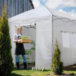 EAGLE PEAK 10'x 10' Portable Walk-in Pop-up Greenhouse with Front and Rear Roll-Up Zipper Entry Doors and 2 Large Roll-Up Side Windows