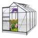 Eagle Peak 6x8x7 Outdoor Walk-in Hobby Greenhouse With Roof Vent And Rain Gutter, Base And Anchor, Polycarbonate Aluminum Green House