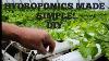 Easy How To Hydrophonic Greenhouse Infrastructure