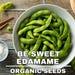 Edamame, Be Sweet (soybean) Seeds, 50 Count Organic Be Sweet (soybean) Edamame Seeds, Heirloom Vegetable, Open Pollinated Non-gmo