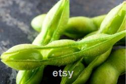 Edamame, Be Sweet (Soybean) Seeds, 50 Count Organic Be Sweet (Soybean) Edamame Seeds, Heirloom Vegetable, Open Pollinated Non-GMO