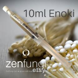 Enoki Mushroom Liquid Culture Flammulina velutipes 10ml Syringe