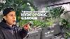 Ep3 The Beginner S Guide To Hydroponic Garden Plus Diy Containers And Homemade Liquid Nutrients