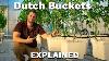 Everything You Need To Know About Dutch Bucket Hydroponics