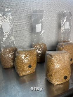 FREE SHIPPING 6 pack 2.25 LB Organic Steralized Millet Mushroom Grow Bags