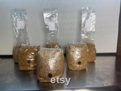 FREE SHIPPING 6 pack 2.25 LB Organic Steralized Millet Mushroom Grow Bags
