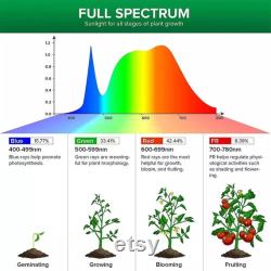 FULL SPECTRUM Growlight Includes Stand Clip Sansi 10W Full-Spectrum LED Grow Light,With Electrical Socket and Clamp Attach to Container