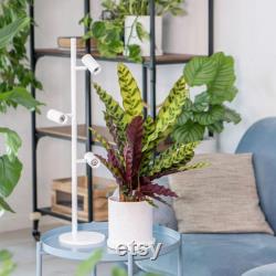 FYTO White Smart Grow Lamp, Plant Grow Light for Indoor Plants, Free Vertical Standing Grow Light, Full Spectrum Wide Illumination Area