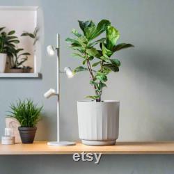 FYTO White Smart Grow Lamp, Plant Grow Light for Indoor Plants, Free Vertical Standing Grow Light, Full Spectrum Wide Illumination Area
