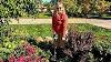 Fall Containers U0026 Planting Allium Karataviense U0026 Apricot Whirl Daffodils Suburban Oasis