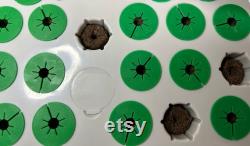 Flexible Aerogarden Bounty 360 or Harvest Seed Starter Tray Sponge 25pc Covers Keep Algae Down GREEN