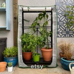 Foldable Mini Greenhouse Cold Frame for Patio Balcony Garden Portable Flat Folding Free Standing Tomato Grow Cage with Removable Shelves