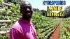 Former Jamaican Athlete Inspiring Young Farmers To Use Hydroponics Farming Technology In Jamaica