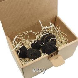 Fresh Summer Truffles 4 oz.