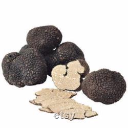 Fresh Summer Truffles 4 oz.