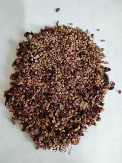 Fruit Trees Organic Seeds, Hundreds of Organic Fruit Seeds, Organic Rare Plants for Pot and Garden, Non-GMO Heirloom Multi Fruit Tree