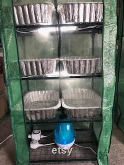 Fully Auto Fruiting Chamber GrowKit with Premeasured Spawn Sub Pressure Cooker Grow Guide 4-6 lb Yield Etc, Etc, Etc Read Description