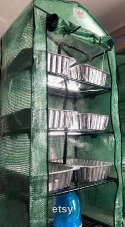Fully Automated 6 Tray Mushroom Greenhouse with EVERYTHING needed to Grow in Bulk Spawn, and Substrate Included LC Optional