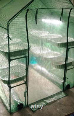 Fully Automated, Climate Controlled 15-20Lb a Month Mushroom Greenhouse Mists, Fans, and Lights Itself Daily, and Pumps Out Serious Pounds