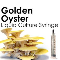 GOLDEN OYSTER Liquid Culture Mushroom Syringe Pleurotus Citrinopileatus Inoculation Mycelium Starter Culture