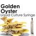 Golden Oyster Liquid Culture Mushroom Syringe Pleurotus Citrinopileatus Inoculation Mycelium Starter Culture