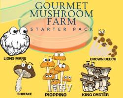 GOURMET MUSHROOM FARM petri dish starter pack (5 pack)