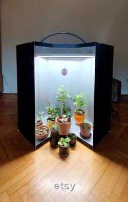 GREEN GROW BOX