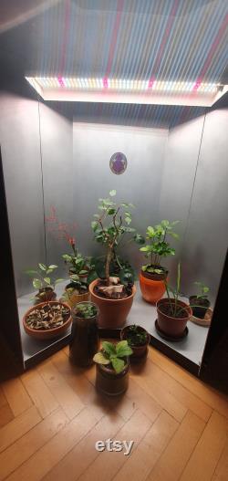 GREEN GROW BOX